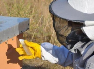 NATO SPS Project Field Trial