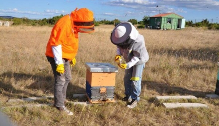 NATO SPS Project Field Trial