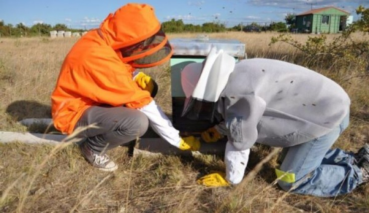 NATO SPS Project Field Trial