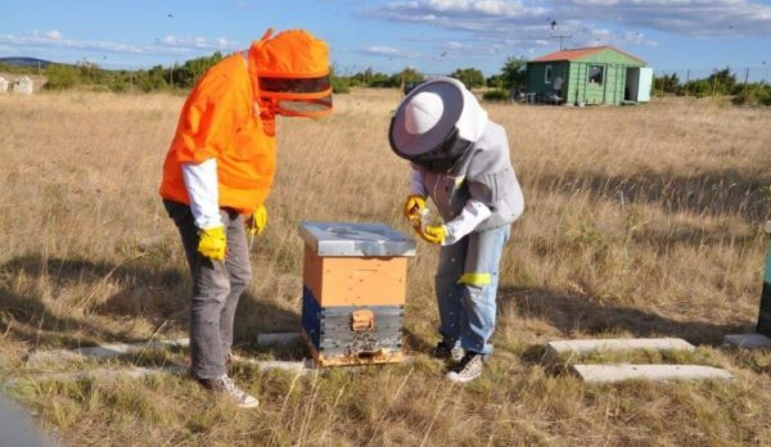 Benkovac Test Site