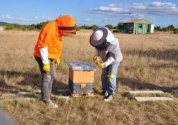 Benkovac Test Site